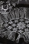 diamond setting doily pattern