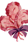 plume pin pattern