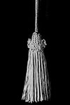 Tassel and Cord 304C